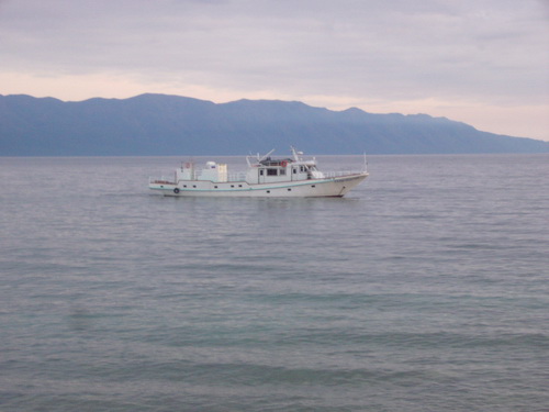 2010  .