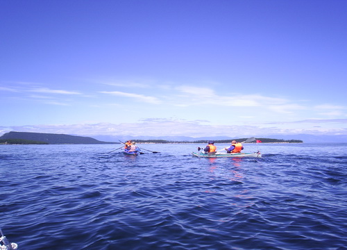 2010   