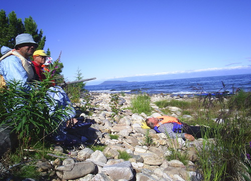 2010     .