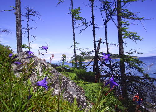 2010   .