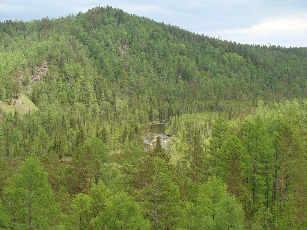 Б. Половинная