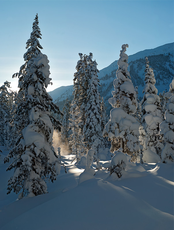 ����� � ������ - ���� ��������!