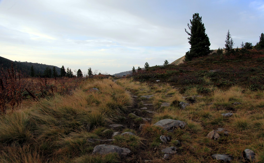 ������������� �����