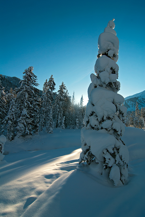 ����� ������� ��������...