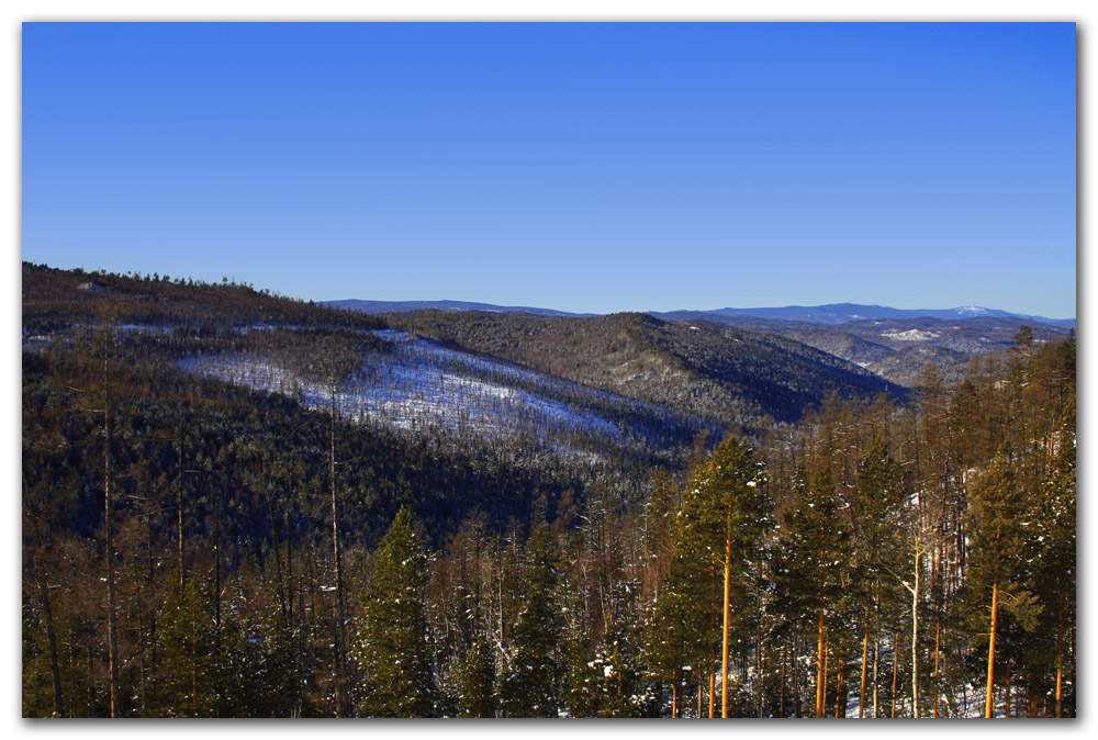 Green Hills of Siberia