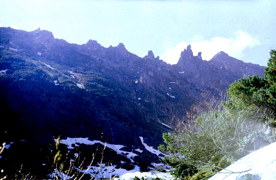 ���� �� ���� �� ��� ��������