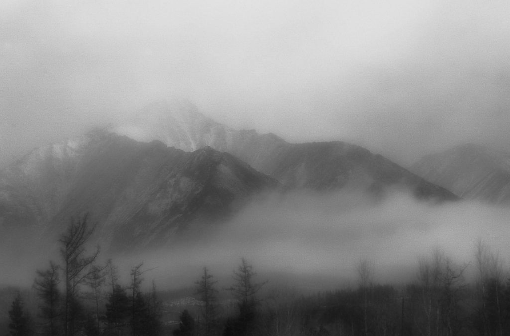 ���� ��������