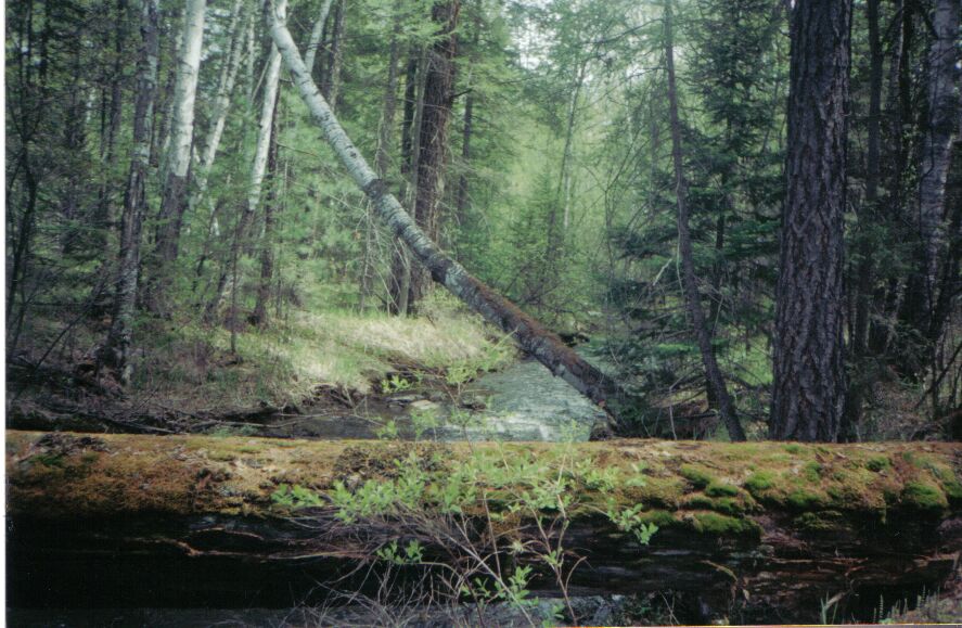 ������ ����� � ������������