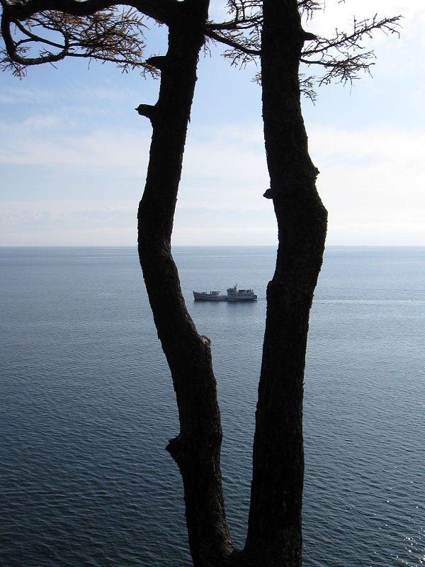 �� �������. �������...