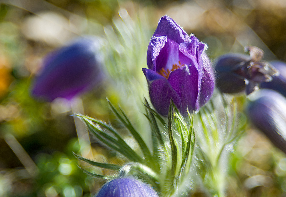 � ���������� �����!