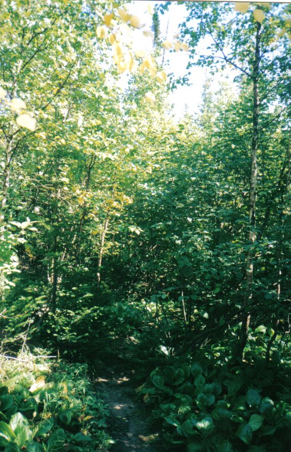 ����� �� ���������� ������