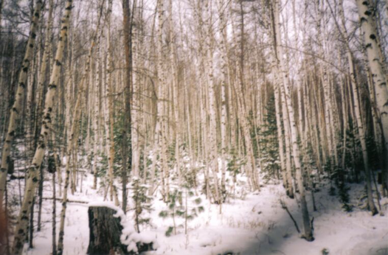 ��������� ����