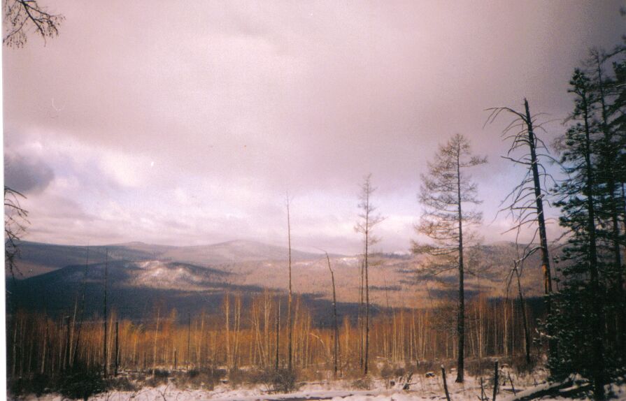 ���� � ����