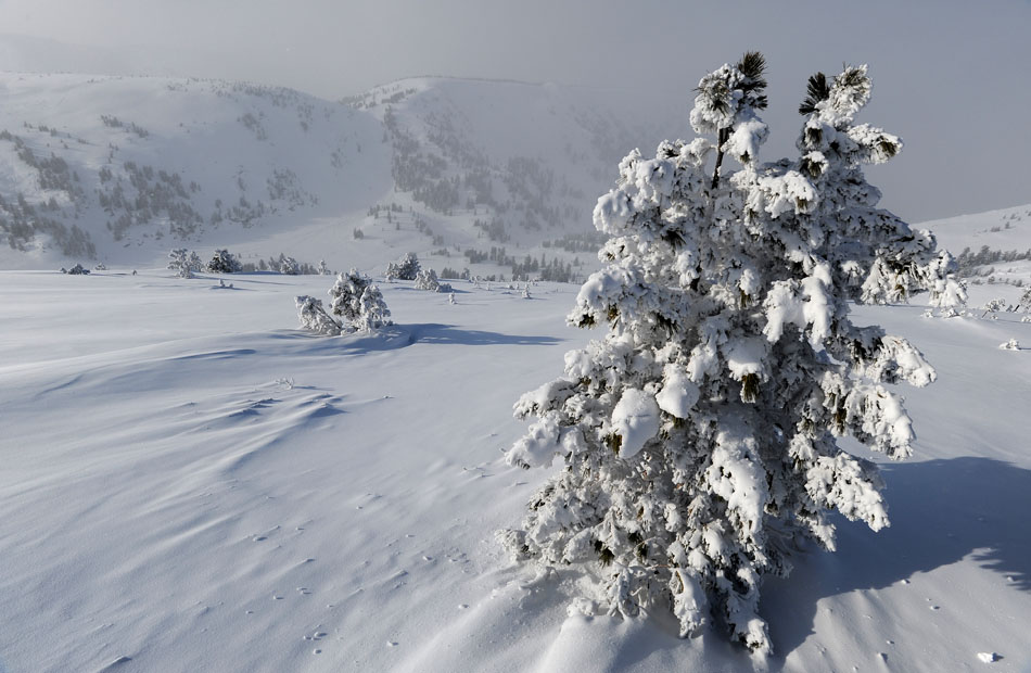 Ҹ���� ����