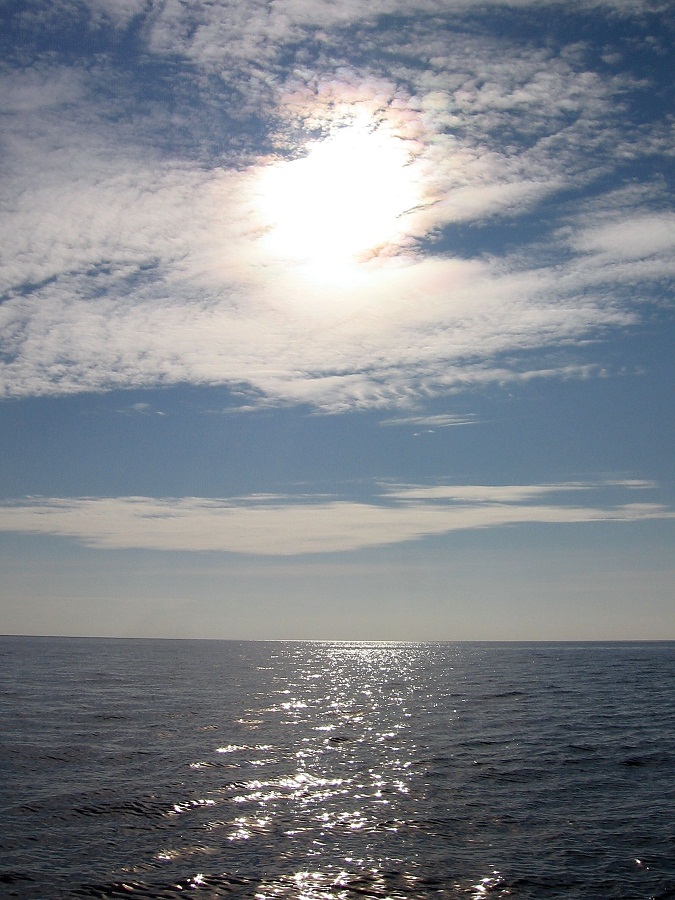 ������ � �������...