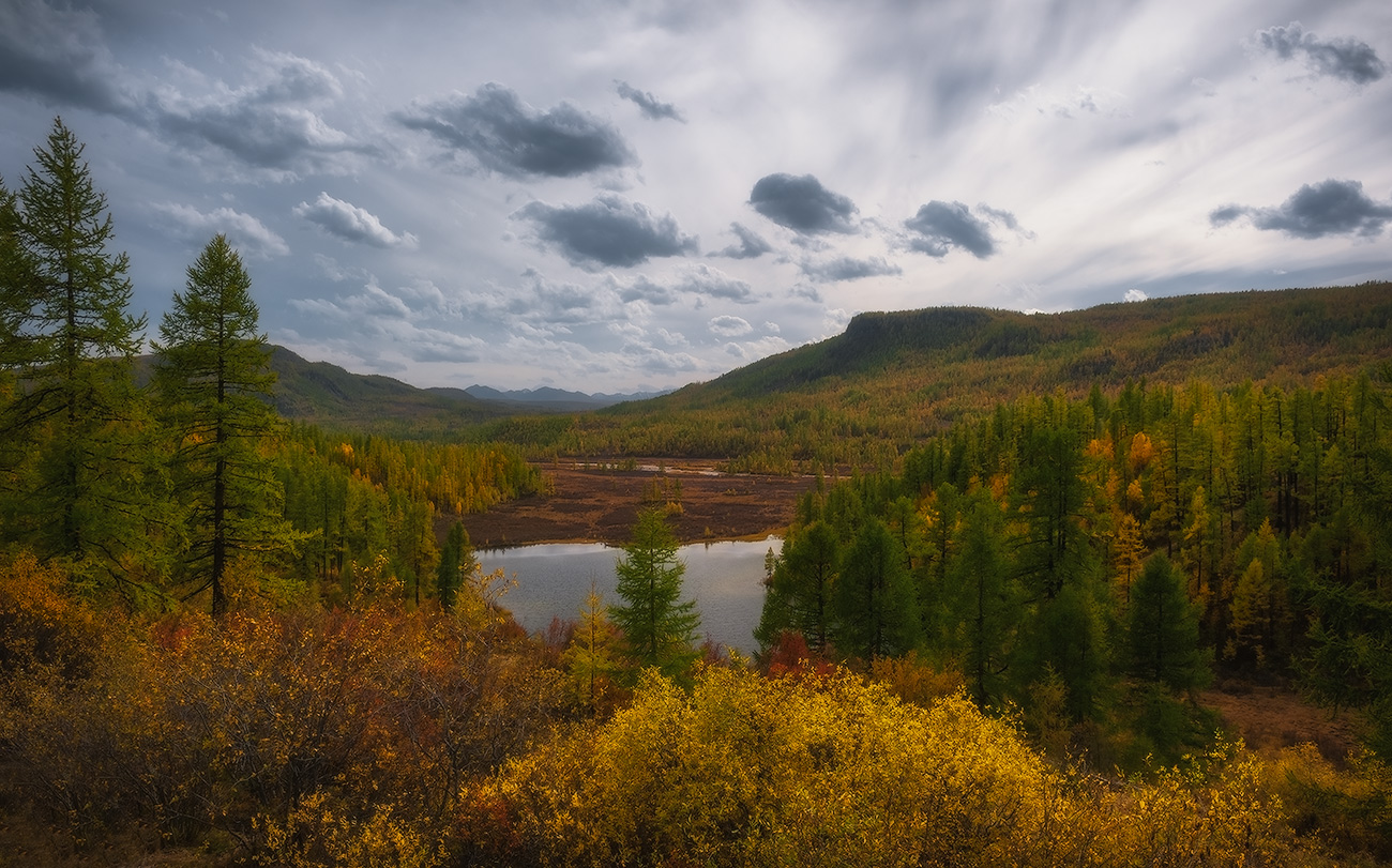 � ������ �����...