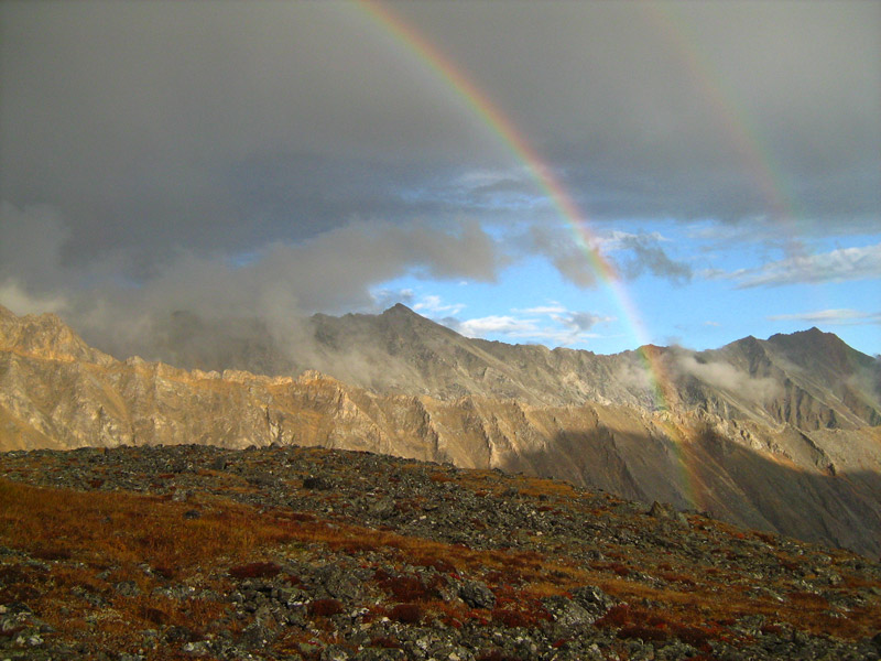 ������� ������ ����