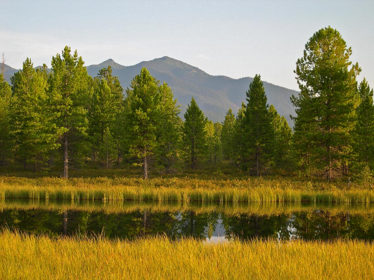 ������� � �������...