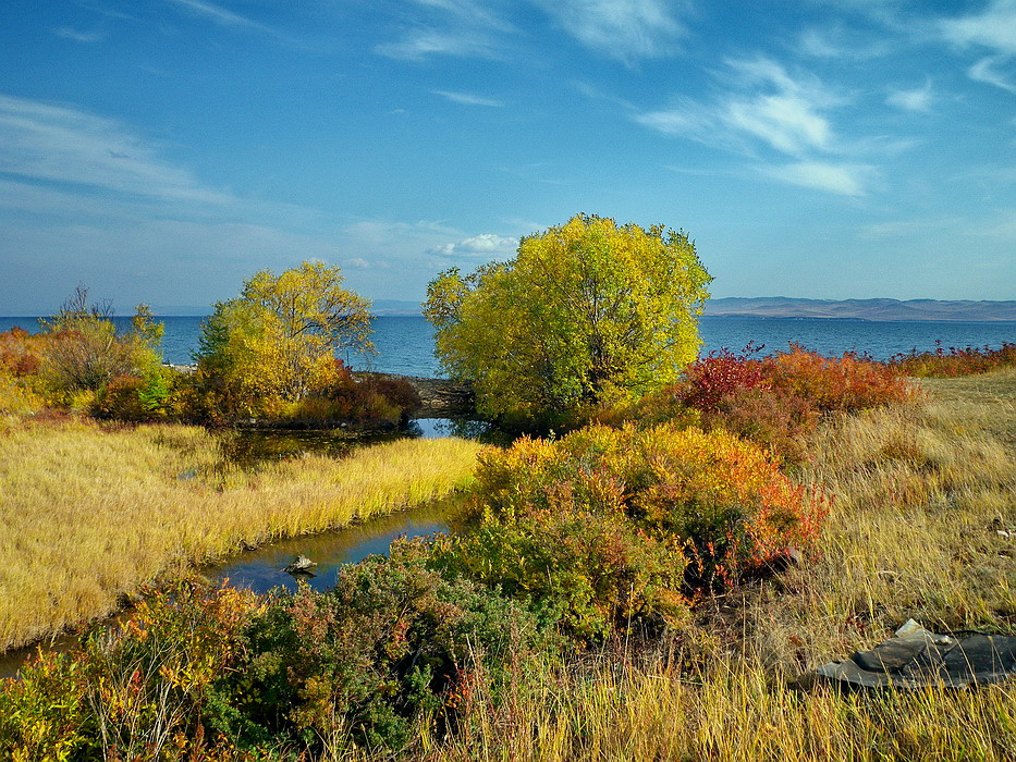 ������, ��������� � ������ ���������� �� ������� �������.