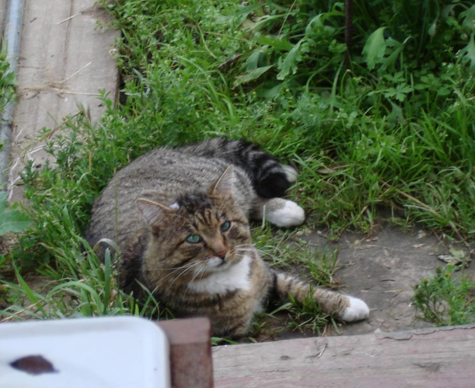 ������ � ������������ ������