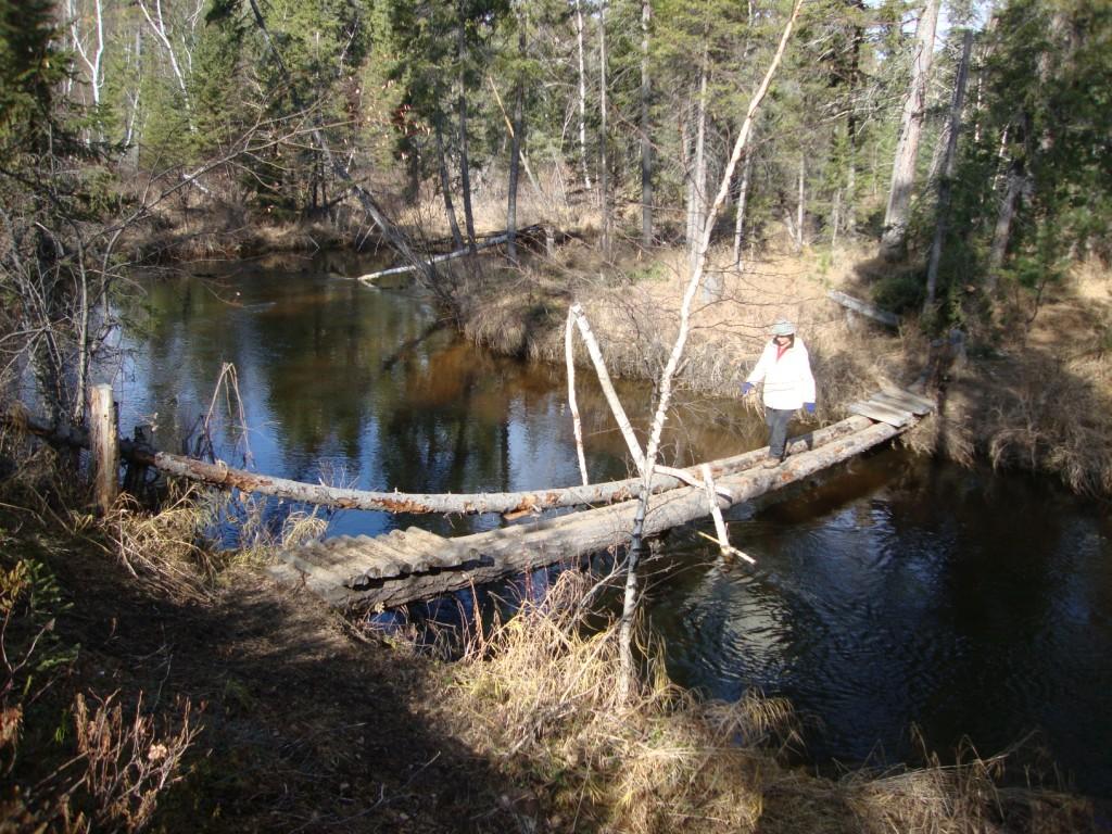 ������ ����� ���� � �������