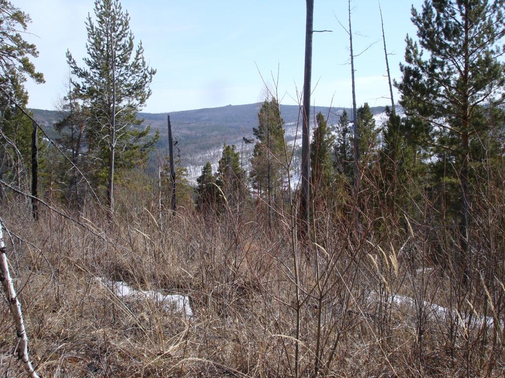 �� ��������� �������� "�������"