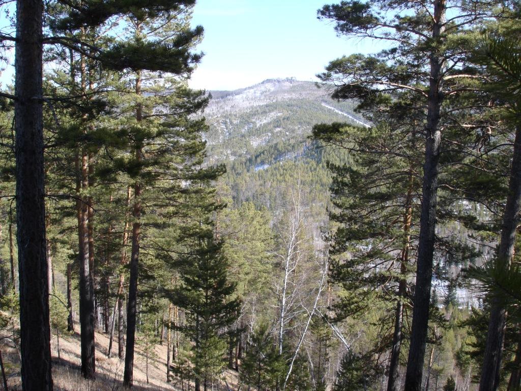 �������� "�������" � ����� ������ ������