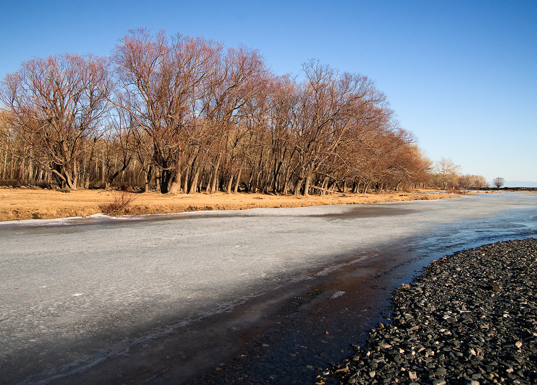 �������� ����������