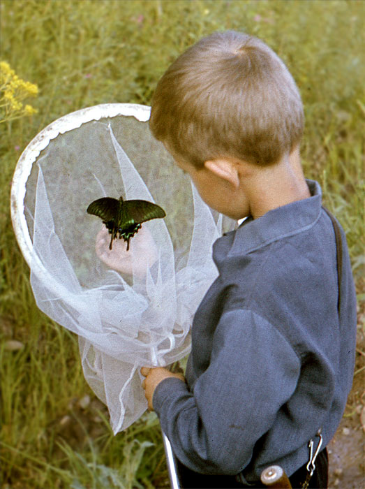 1972