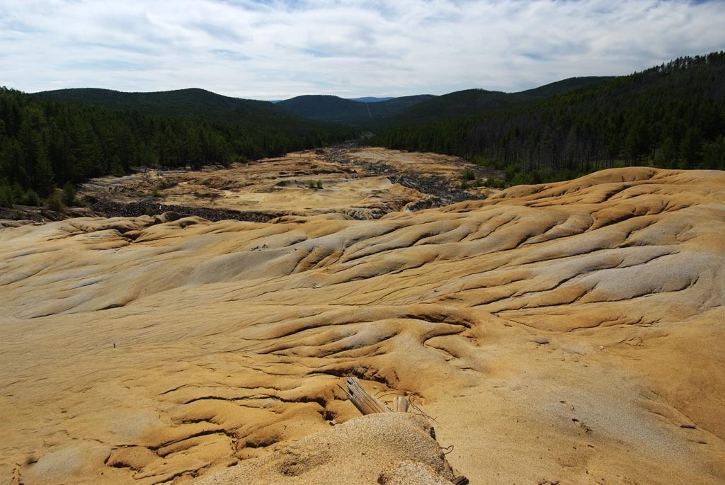 ������ ������