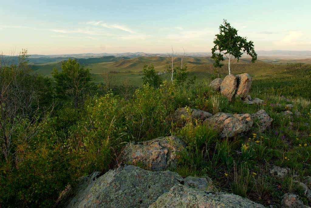 �����, �����.