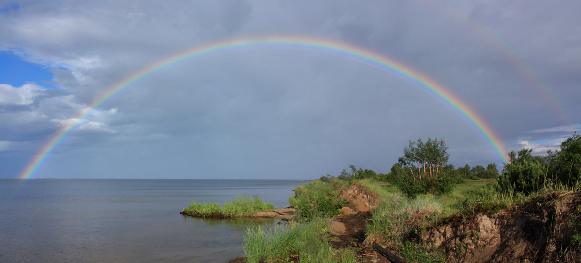 ������. ����.