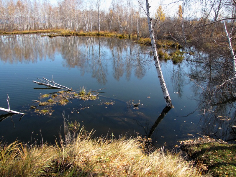 ������� ������