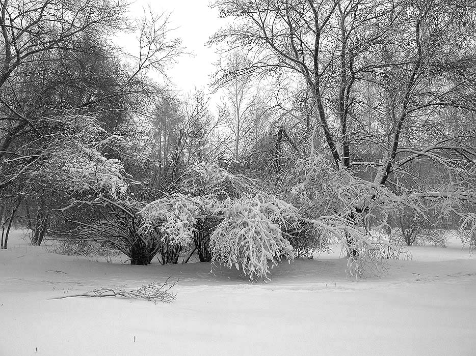 �������� ������