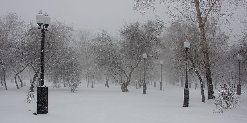 В парке
