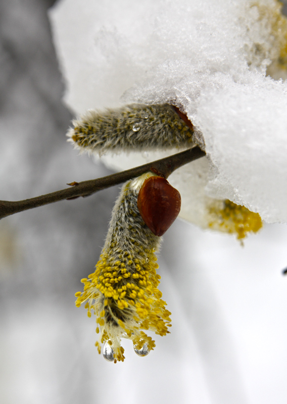 ���-�� ����� �� ���...