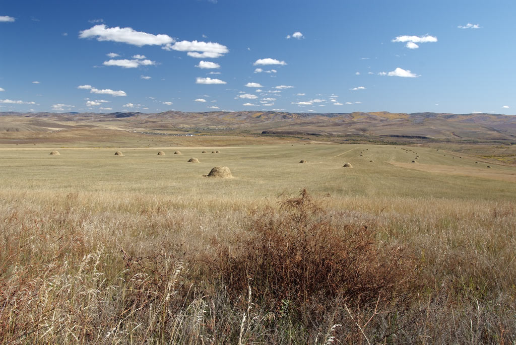 ����� ����.