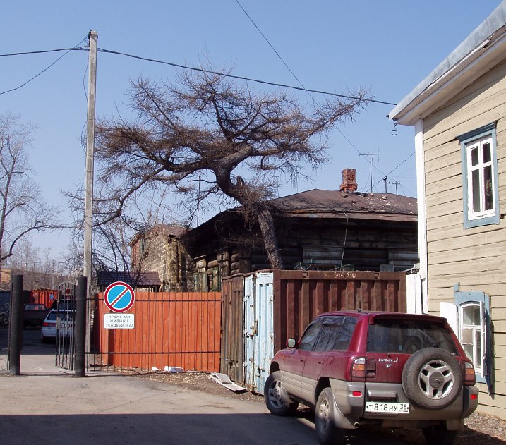 Бонсай по-иркутски
