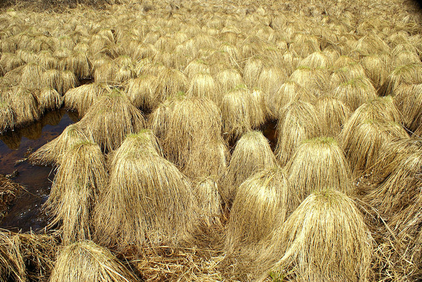 ������! ���������� �������. ���������� ������� � ����������!!