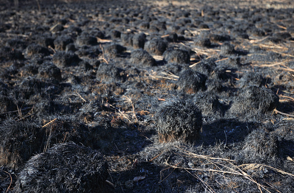 ������ ��� �������