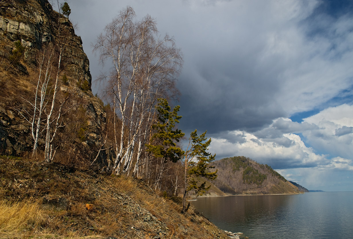 � ������������� 8-�� ��� (4)