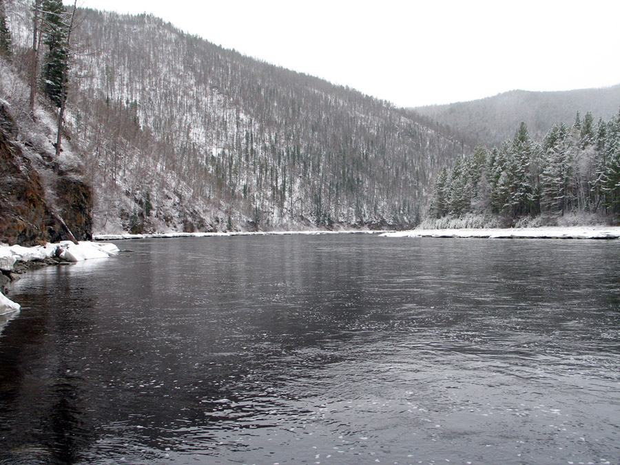 � �������� ���� ������ ���