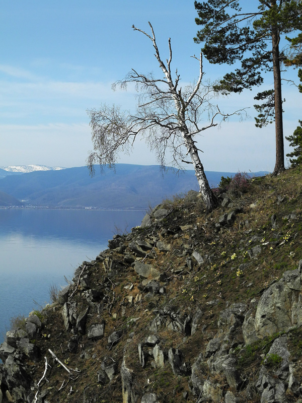 ����� ������