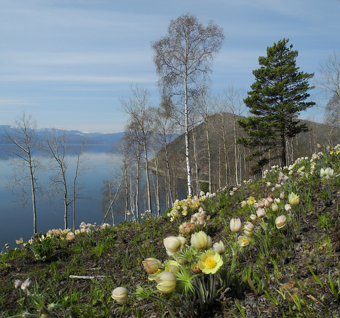 �� ������� � ��������