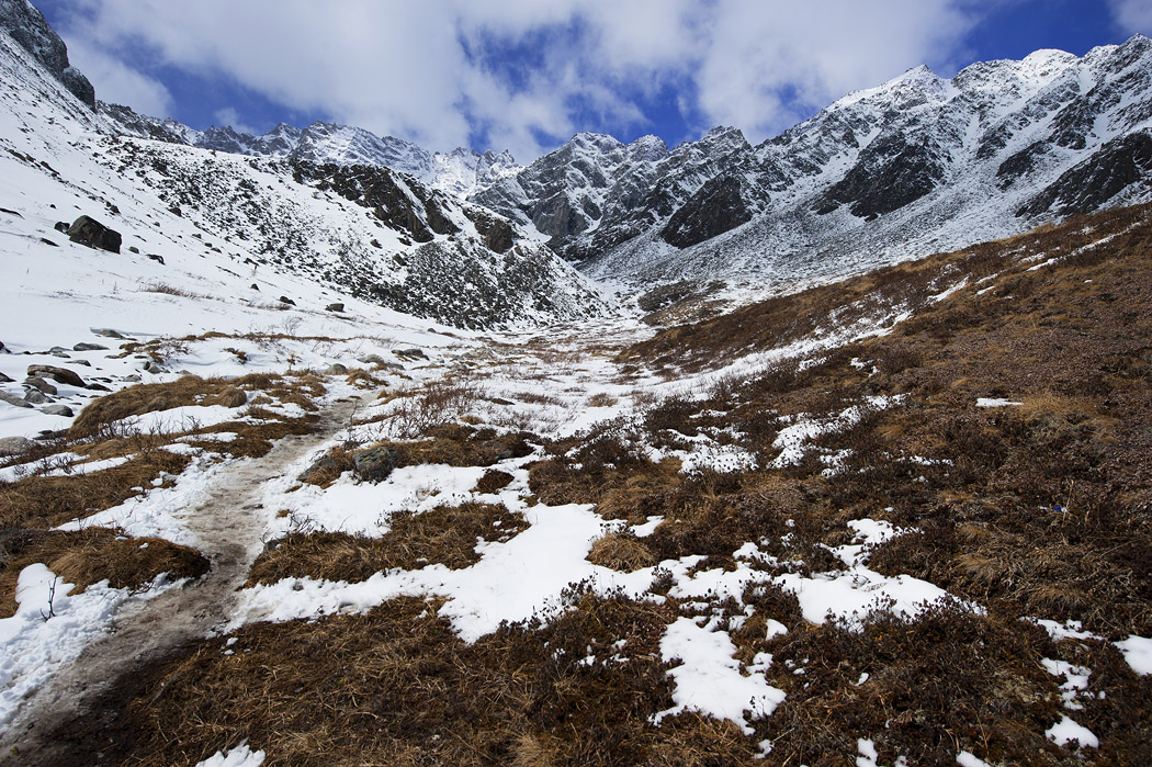 �� ������ �����...