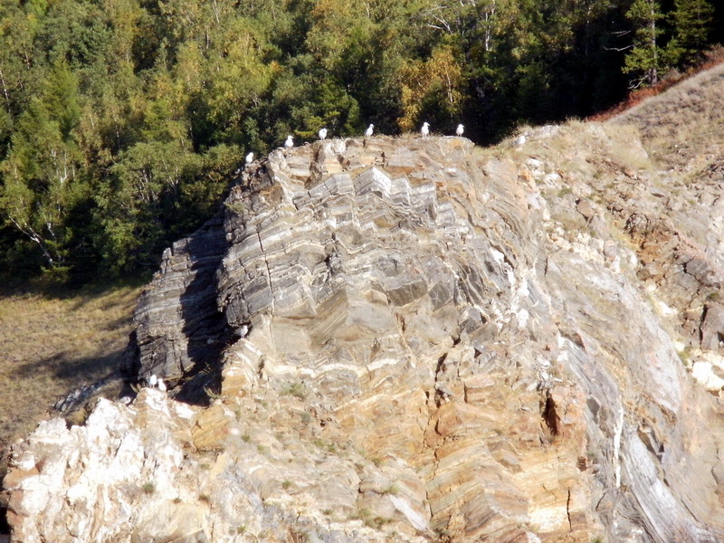 ������ �������