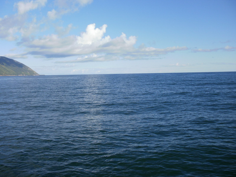 �������� �������