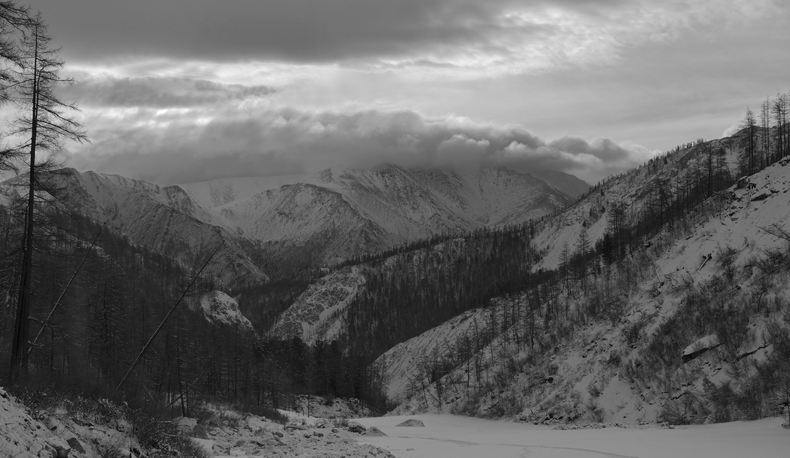 ���� �����...