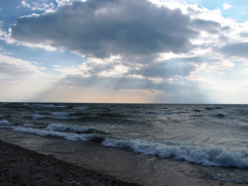 ����������� �����