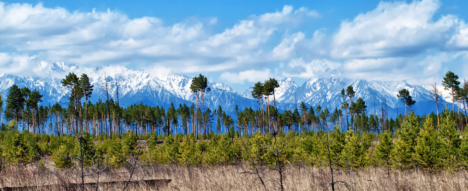 �� ������ �� ������������ � �������